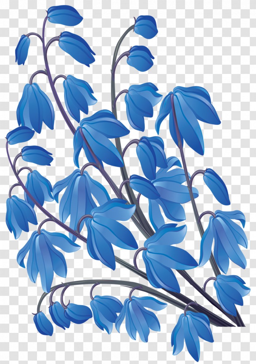 Flower Floral Design - Petal Transparent PNG