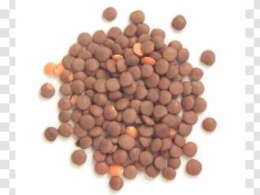 Nutrient Health Nutrition Food Diet - Red Beans Transparent PNG