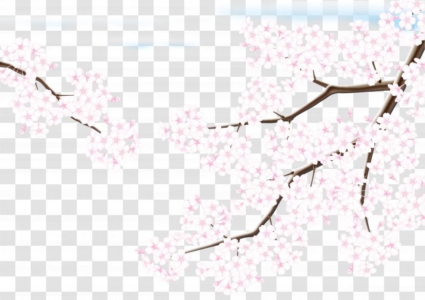 Cherry Blossom Adobe Illustrator - Triangle - Blossoms Transparent PNG