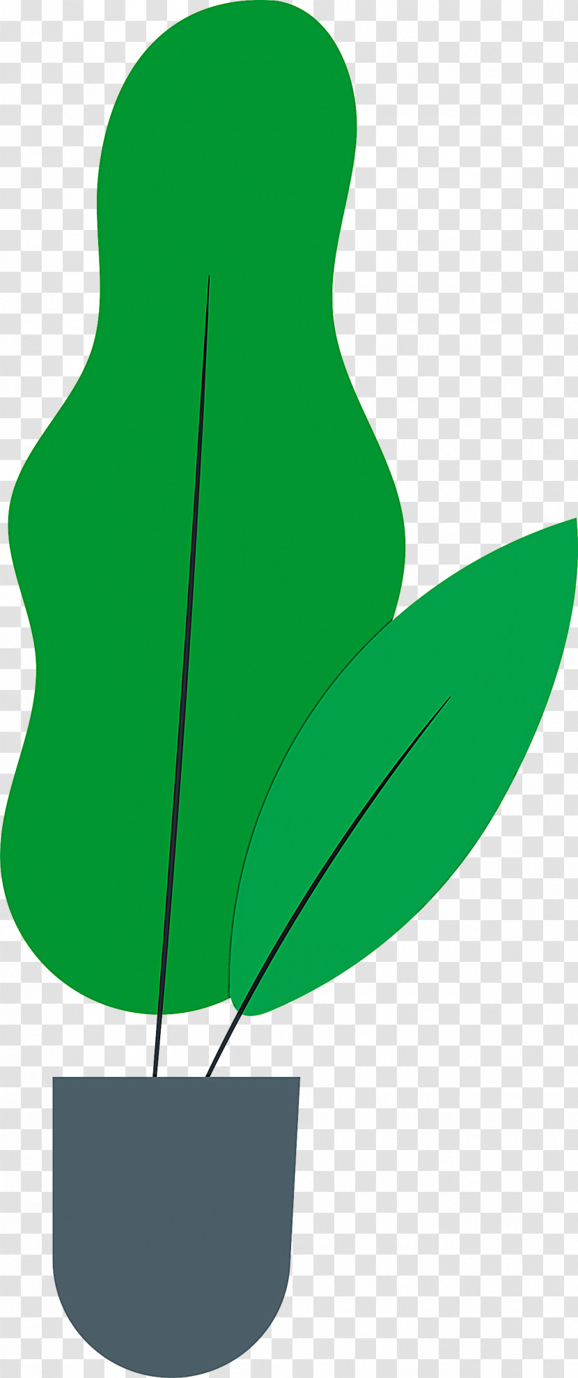 Leaf Plant Stem Flower Branch Petal Transparent PNG