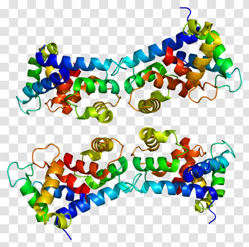 S100A9 Calgranulin S100 Protein Serpin - Semenogelin - S Transparent PNG