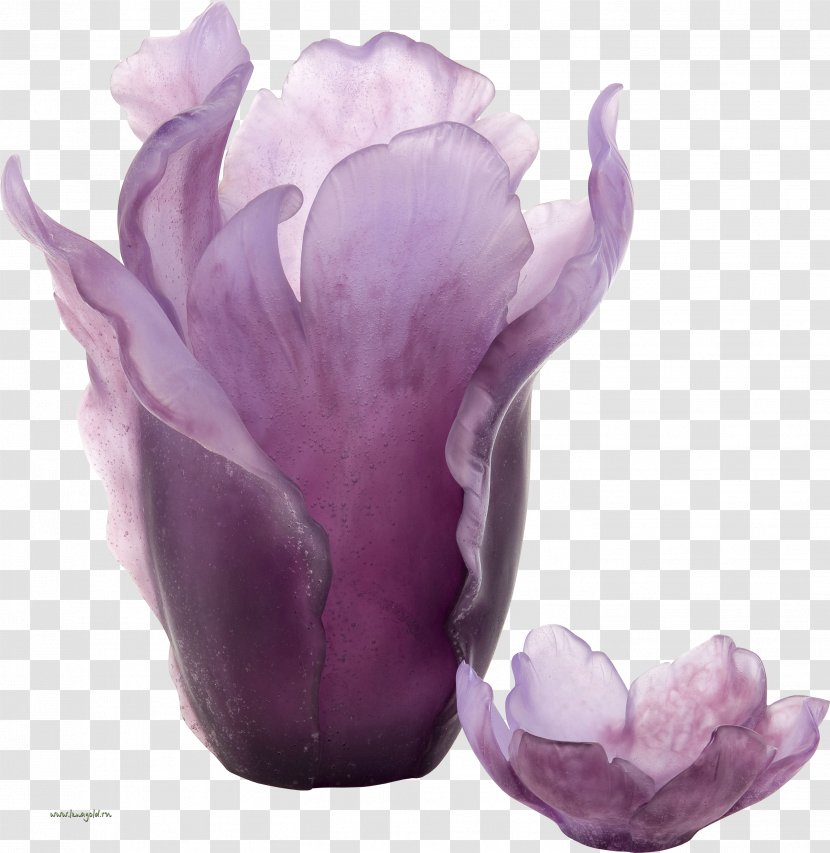 Vase Violet Purple Glass Daum - Still Life Photography Transparent PNG
