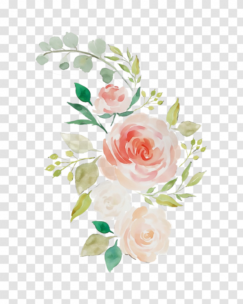 Garden Roses Transparent PNG