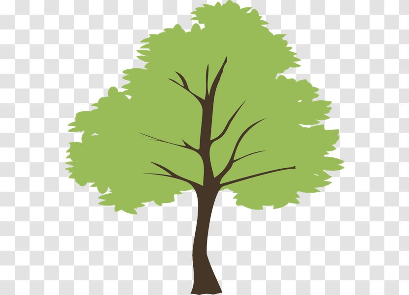 Tree Clip Art - Grass Transparent PNG