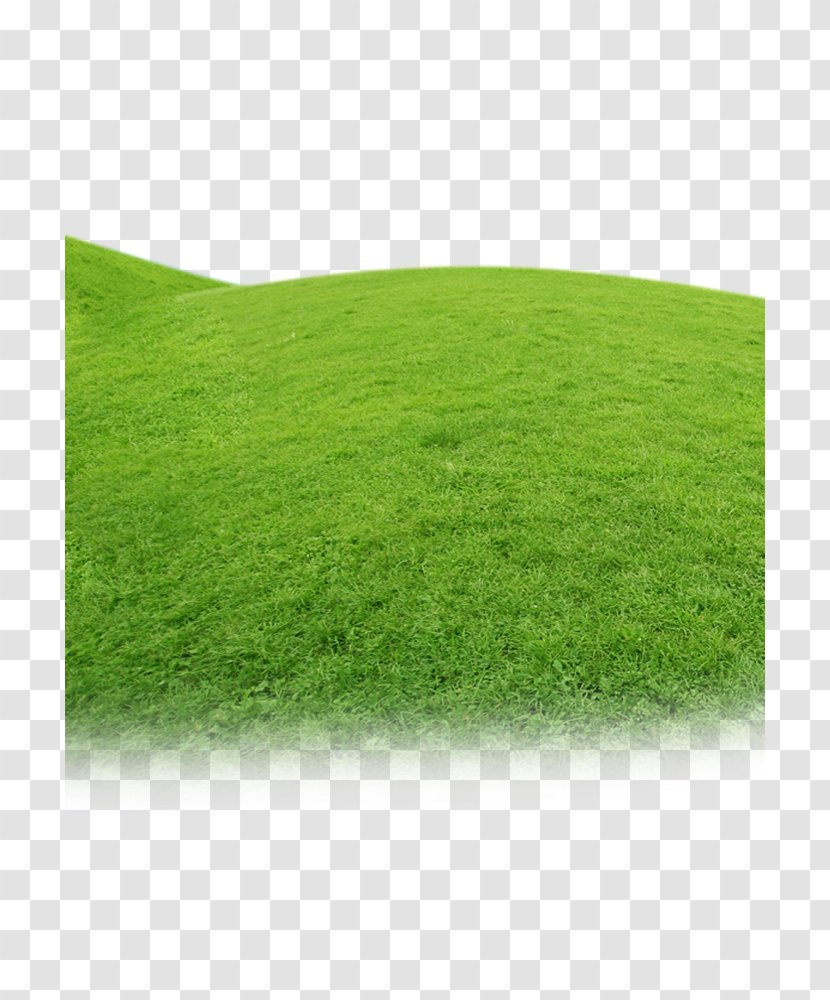 Artificial Turf Meadow Green Grasses Family - Grass Flat Transparent PNG