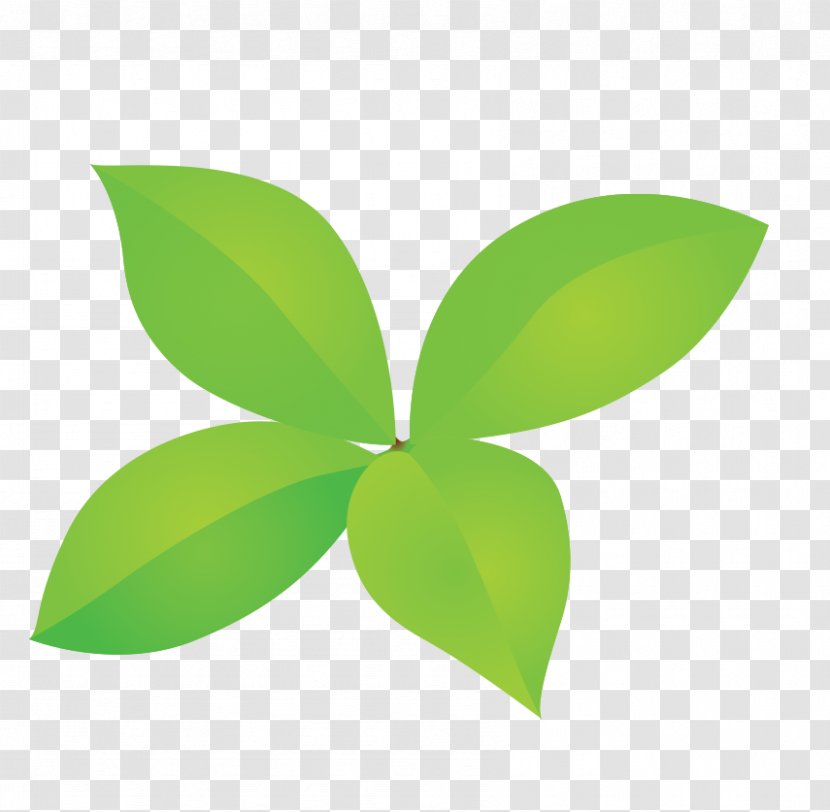 Green Four-leaf Clover Bud - Leaf Transparent PNG