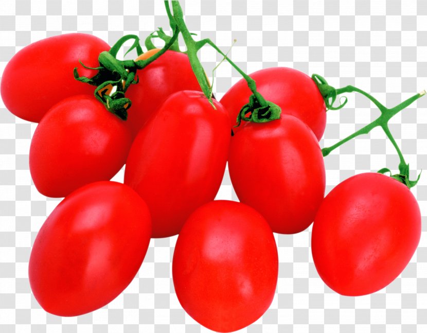 Cherry Tomato Clip Art - Plum - Vegetable Transparent PNG