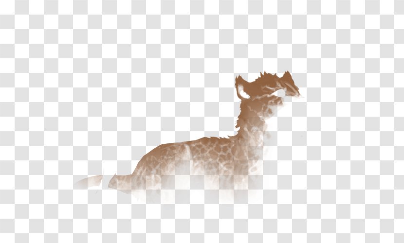 Deer Llama Camel Dog Animal - Tail - Crackle Transparent PNG