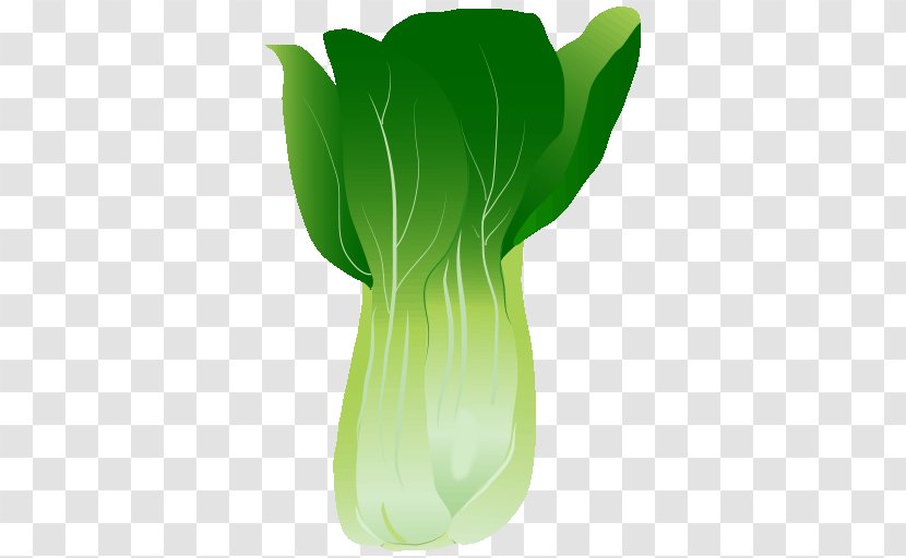 Vase Leaf Plant Stem Transparent PNG