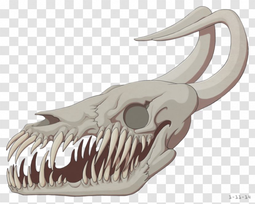 Skull Human Skeleton Dragon - Drawing Transparent PNG