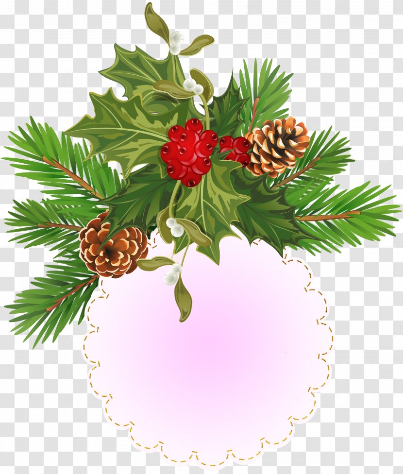 Christmas - Conifer - Fruit Transparent PNG