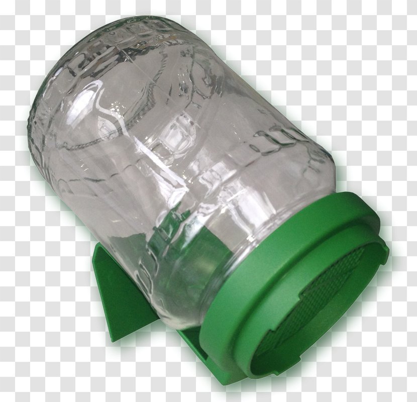 Glass Plastic Sprouting Jar Seed Transparent PNG