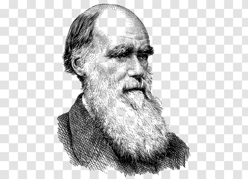 Charles Darwin On The Origin Of Species Evolution Naturalist T-shirt - Philosopher Transparent PNG