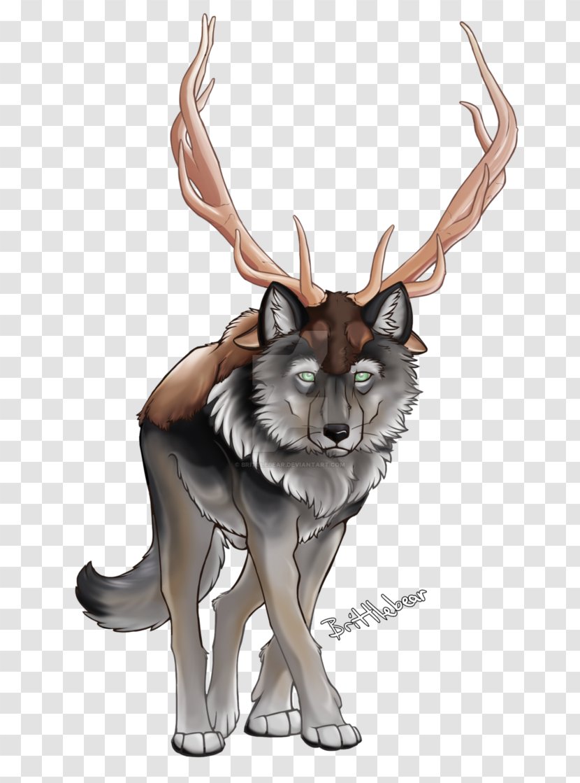 Reindeer Antler Dog Mammal Illustration - Art Transparent PNG