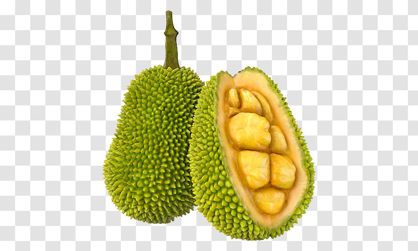 Jackfruit Cempedak 3D Modeling TurboSquid - Texture Mapping - Superfood Transparent PNG