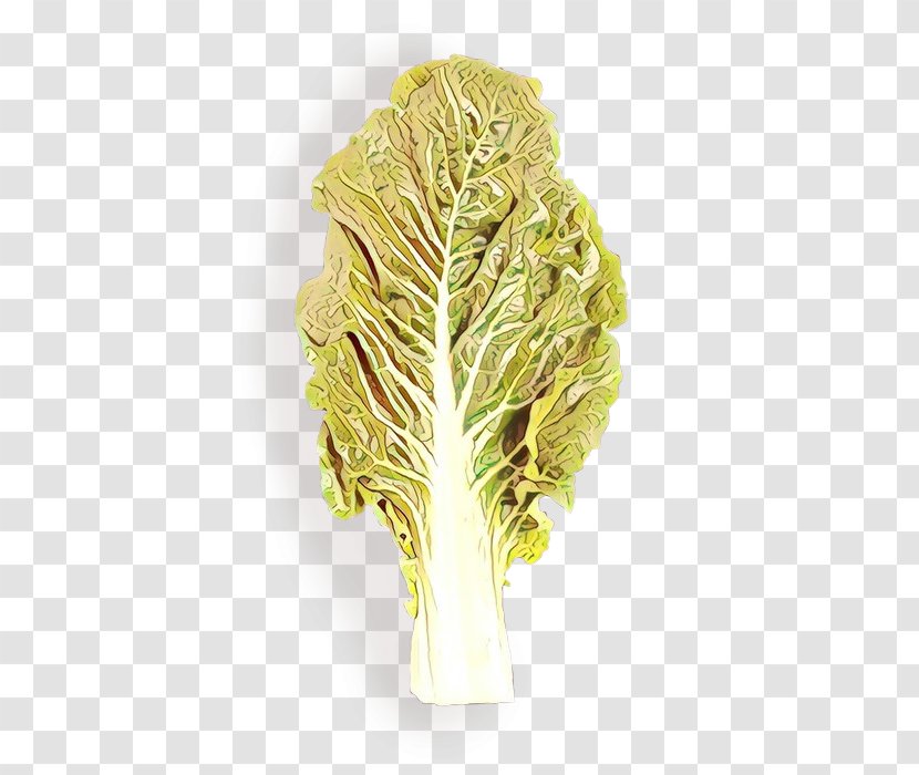 Vegetables Cartoon - Plant - Tatsoi Celtuce Transparent PNG