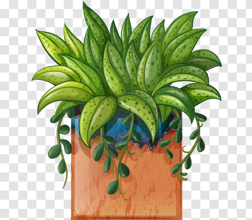 Houseplant Flowerpot Clip Art - Potted Plants Transparent PNG