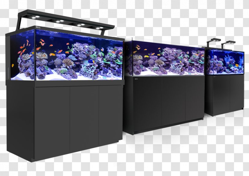Reef Aquarium Coral Red Sea Aquariums - Plastic - Fish Tank Transparent PNG