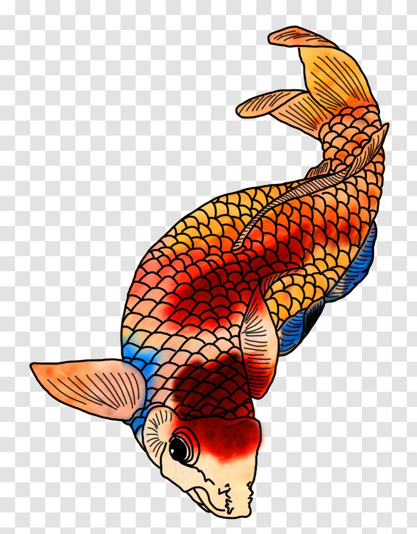 Kōhaku Drawing Color Goldfish - Colored Pencil - Koi Transparent PNG