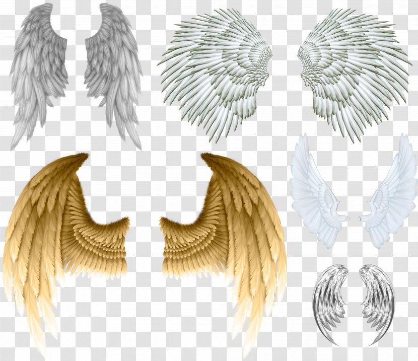 Devil Angel Wing Clip Art - Feather - Buffalo Wings Transparent PNG