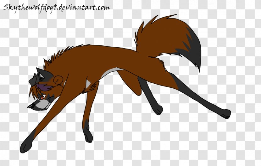 Mustang Canidae Cat Dog Mammal - Organism - Senpai Frame Transparent PNG