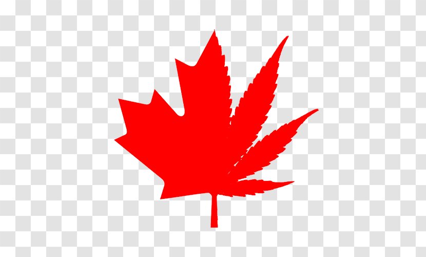 Flag Of Canada Maple Leaf Clip Art Transparent PNG