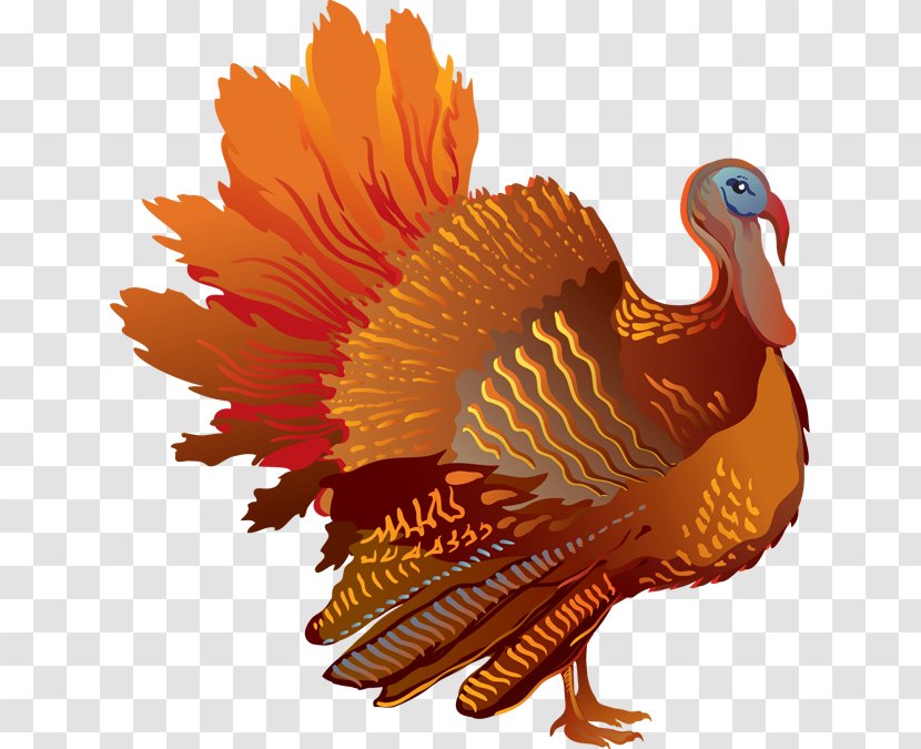 Turkey Freedom From Want Clip Art - Autumn - Colorful Cliparts Transparent PNG