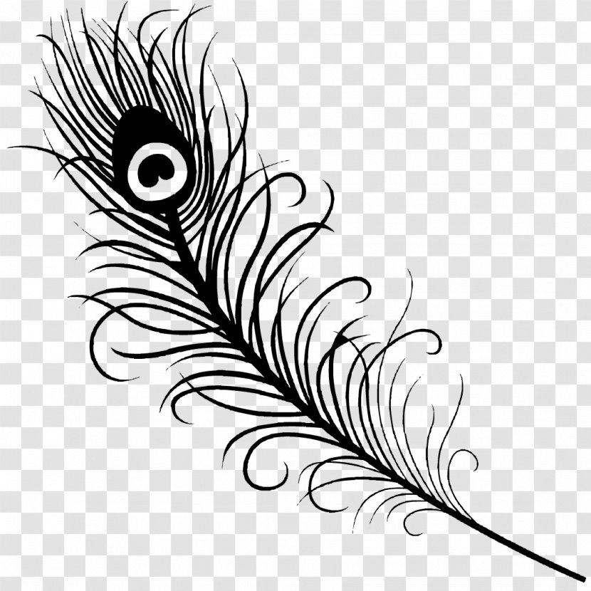 Feather Tattoo Peafowl Drawing Clip Art - Quill - Peacock Transparent PNG