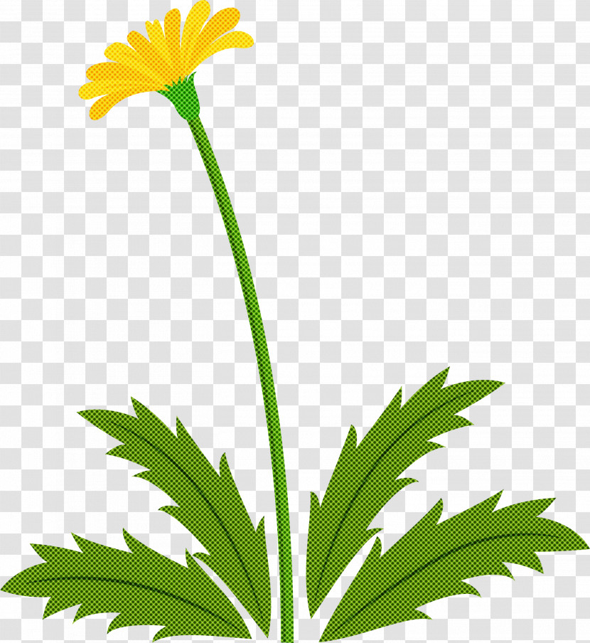 Dandelion Flower Easter Day Flower Spring Flower Transparent PNG