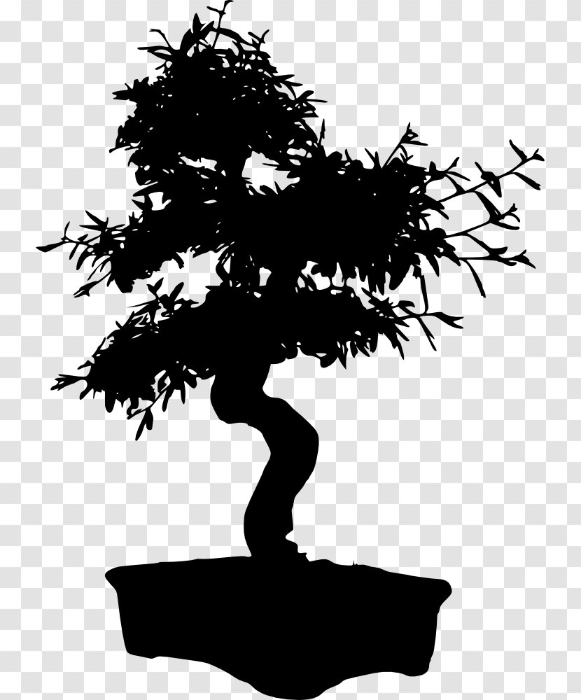 Silhouette - Plant - Bonsai Transparent PNG