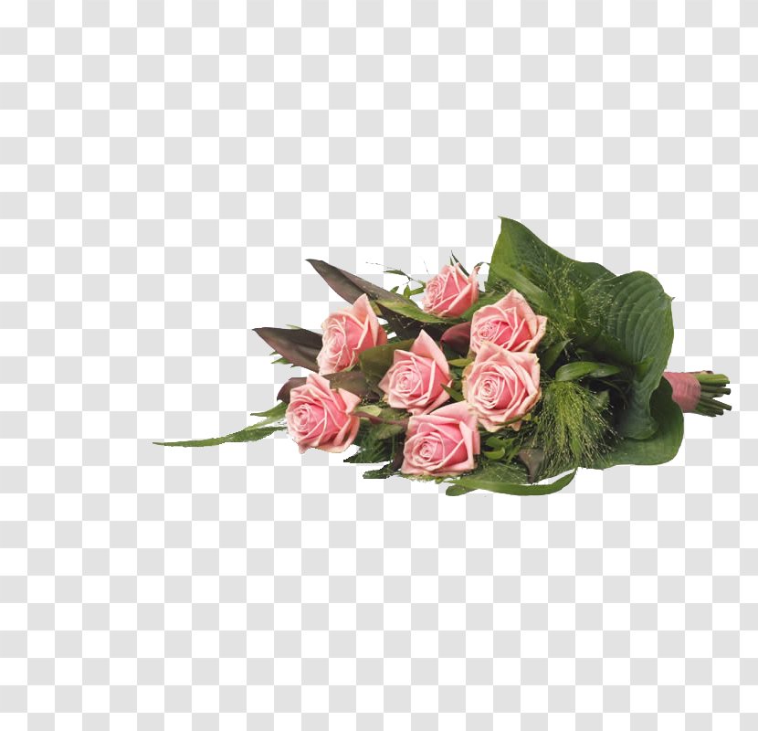 Garden Roses Funeralco Wommelgem Kapellen Lint - Rose Order - Flower Transparent PNG