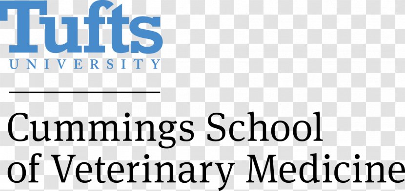 Tufts University School Of Engineering Cummings Veterinary Medicine Columbia - Paper Transparent PNG