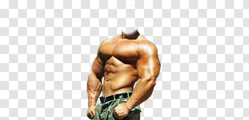 Mr. Olympia Bodybuilding Arnold Sports Festival Exercise Physical Fitness - Cartoon Transparent PNG