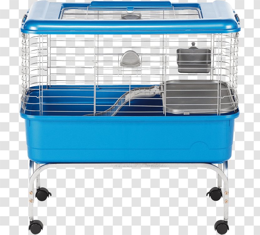 Guinea Pig Hamster Ferret Domestic Rabbit Rodent Transparent PNG