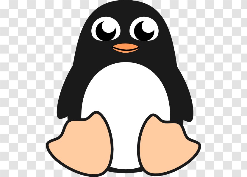 Little Penguin Free Content Clip Art - Nose - Small Cliparts Transparent PNG