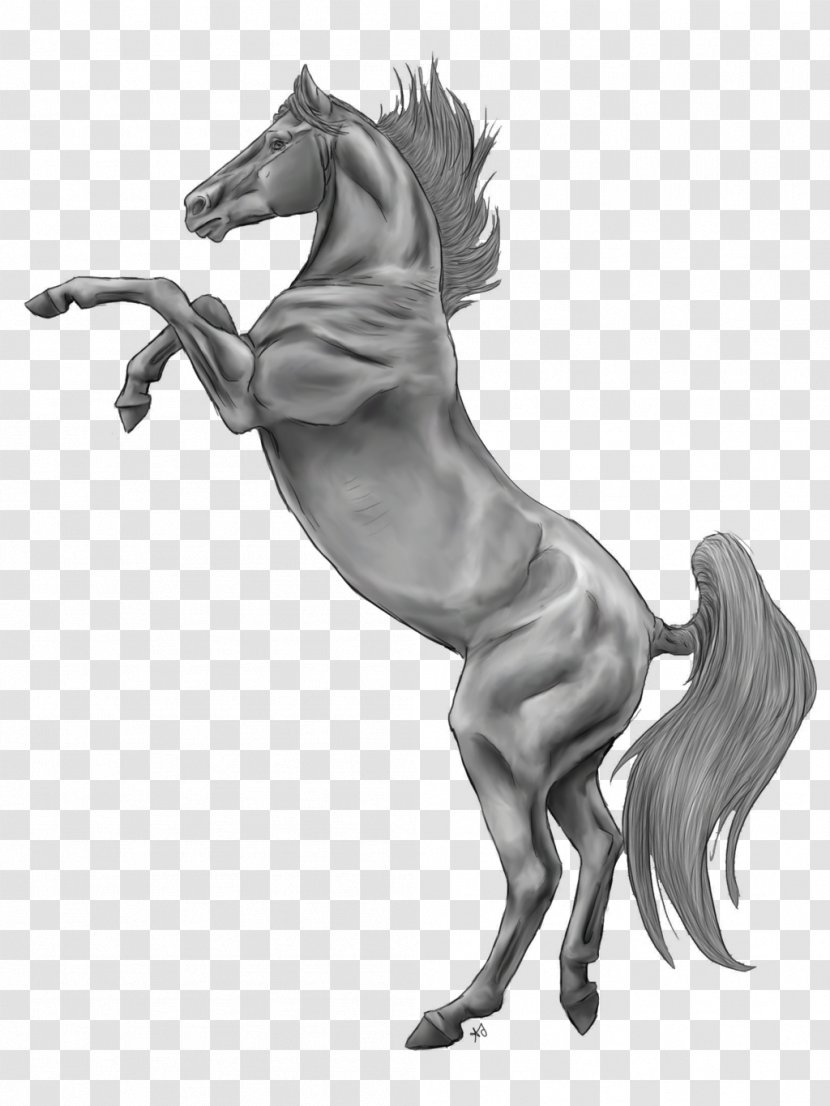 Mane Pony Foal Mustang Stallion - Mammal Transparent PNG