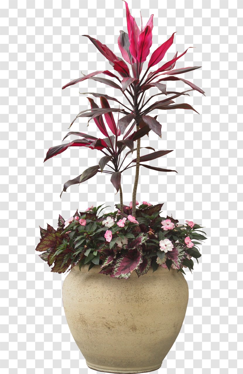 Fiddle-leaf Fig Houseplant Flowerpot Palm Trees - Plants - Plant Transparent PNG