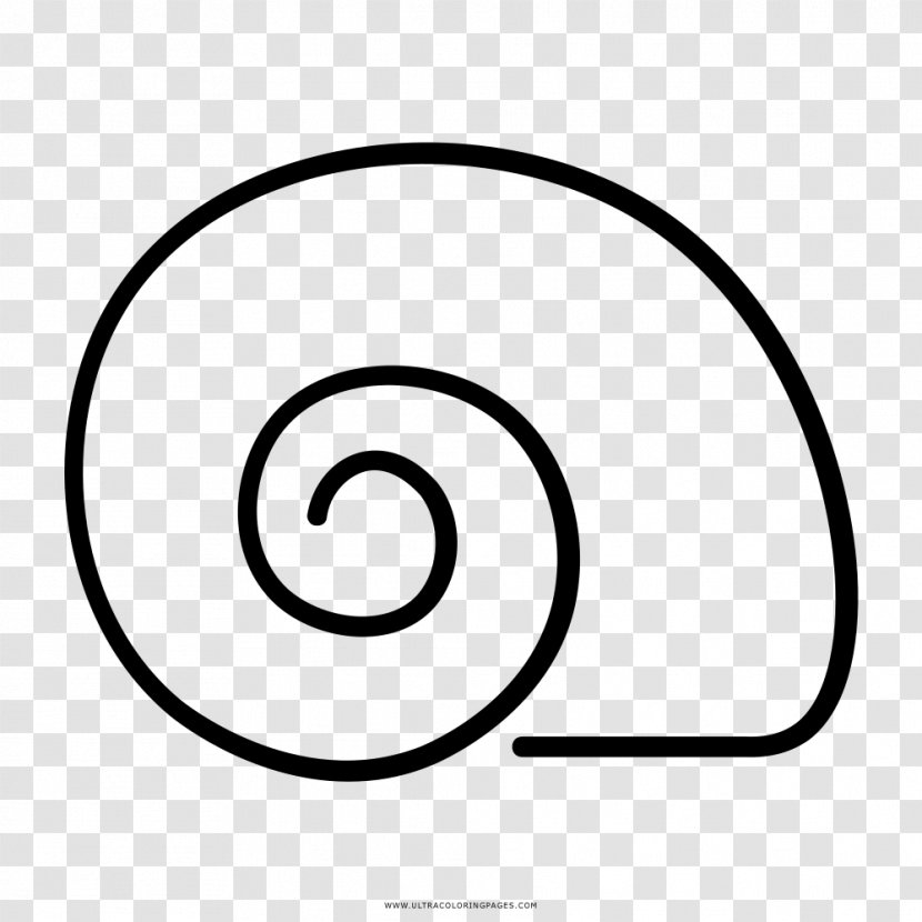 Drawing Painting Black And White Snail - Molluscs Transparent PNG