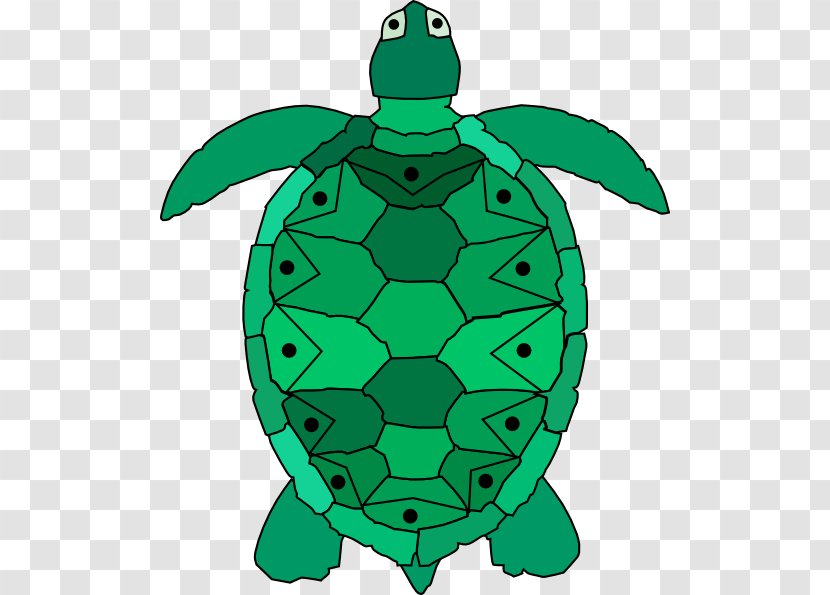 Hawksbill Sea Turtle Clip Art - Cartoon Transparent PNG