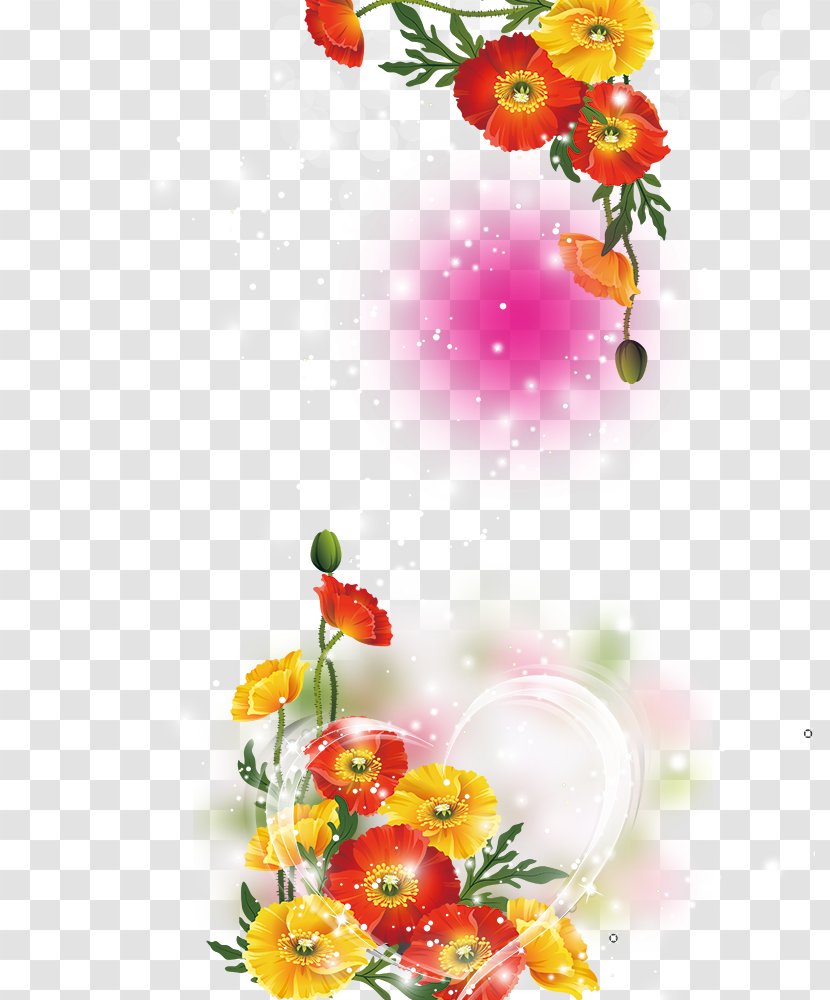Petal Flower - Pattern - Beautiful Background Transparent PNG