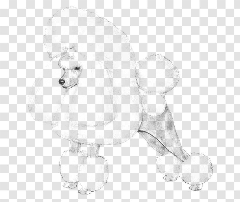 Poodle Dog Breed Puppy Companion Non-sporting Group Transparent PNG