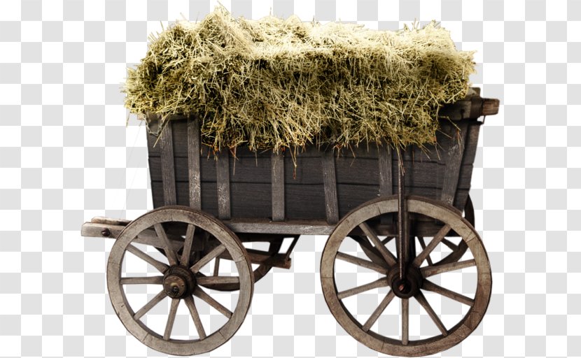 Wheelbarrow Wagon Garden Cart - JARDIN Transparent PNG