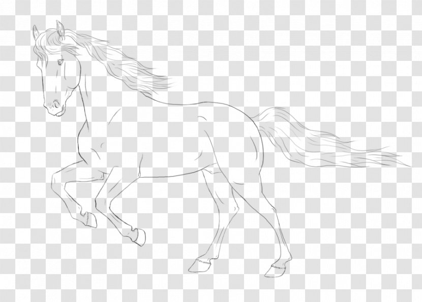 Line Art Horse Halter Pony Sketch - Black And White - Gallop Transparent PNG