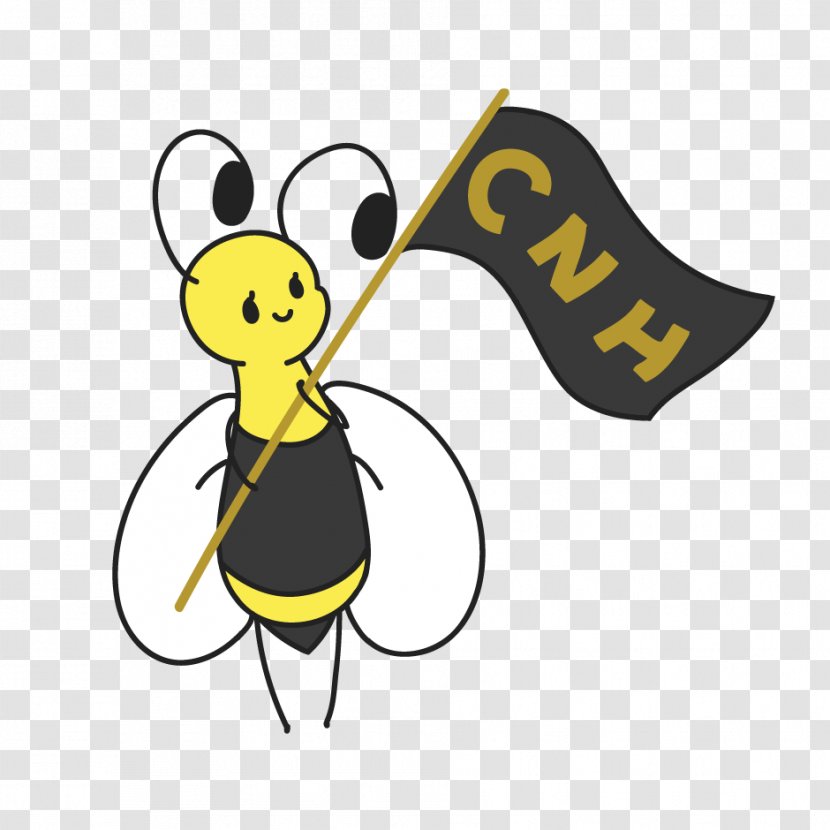 Honey Bee Clip Art Illustration Cartoon - Coordinator Transparent PNG