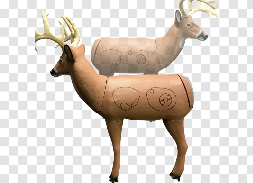 Elk Reindeer Target Archery - Mammal - 3D Equipment Transparent PNG