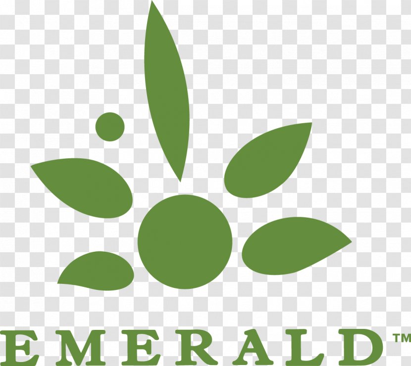 Logo Product Brand Font Green - Emerald - Leaf Transparent PNG