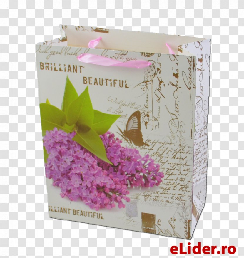 Lilac - Flower Transparent PNG