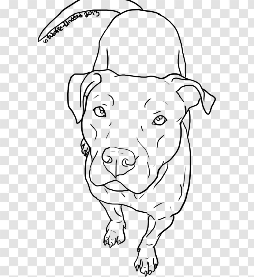 American Pit Bull Terrier Drawing Line Art - Black - Pitbull Transparent PNG