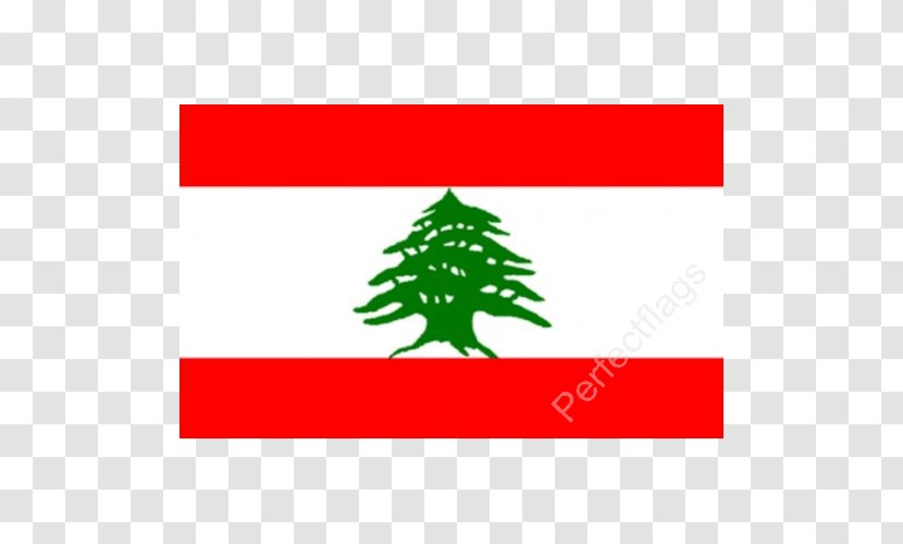 Flag Of Lebanon Jordan National - Cedar Transparent PNG