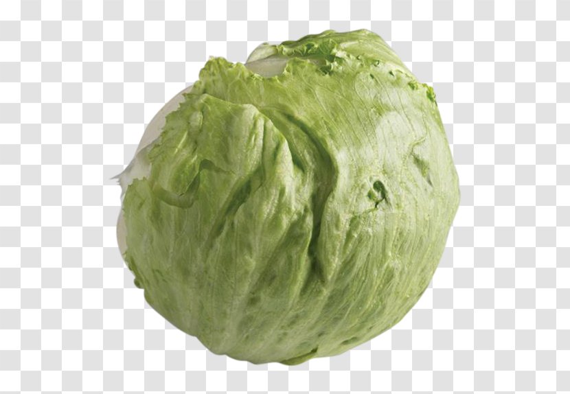 Iceberg Lettuce Soup Sandwich Cabbage Vegetable Transparent PNG